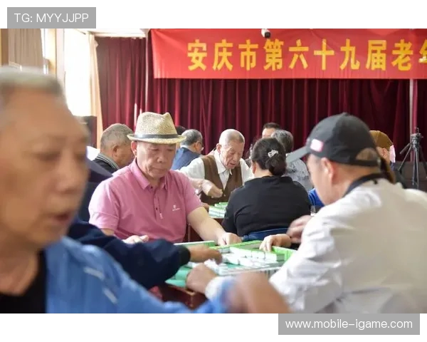 吴强独家分享羽毛球技巧与心得助你提升竞技水平与享受运动乐趣