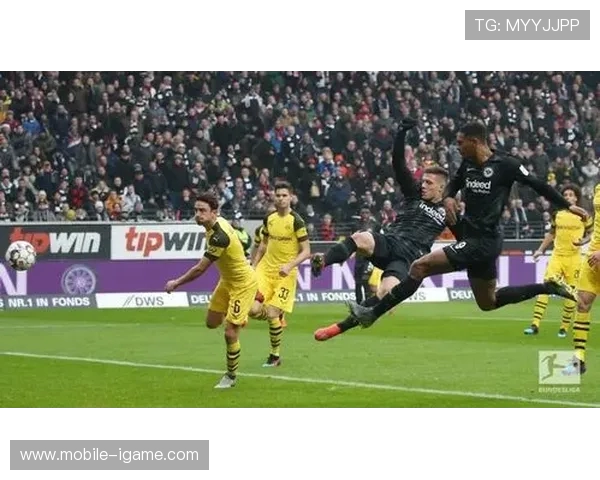 布莱顿与加的夫城历史交锋回顾与战绩分析